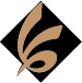 پیام مدیرعامل